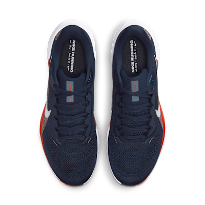 Chicago Bears Pegasus 41