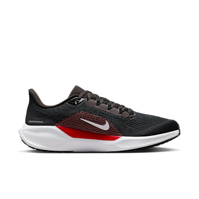 Tampa Bay Buccaneers Pegasus 41