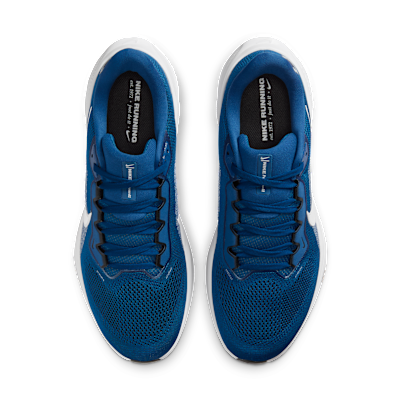 Indianapolis Colts Pegasus 41