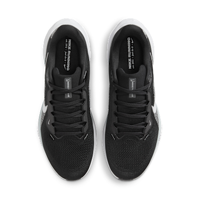 Las Vegas Raiders Pegasus 41
