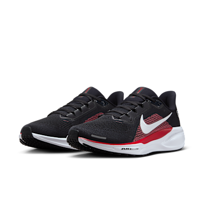 Houston Texans Pegasus 41