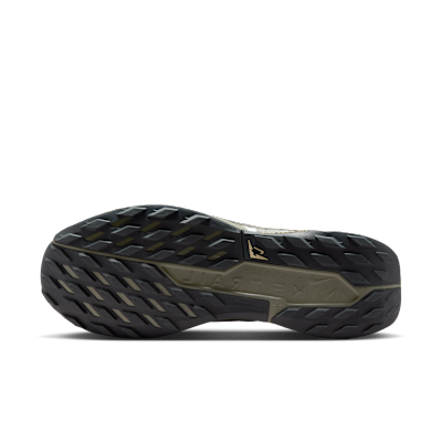 Nike Pegasus Trail 5 GORE-TEX