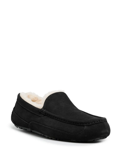 Ugg Ascot Lace-Up Sneakers