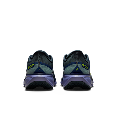 Nike Pegasus 41 GORE-TEX
