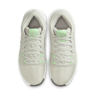 LeBron Witness VIII