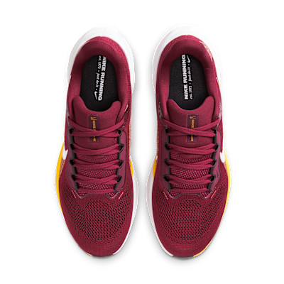 Washington Commanders Pegasus 41
