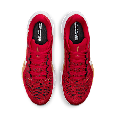 San Francisco 49ers Pegasus 41