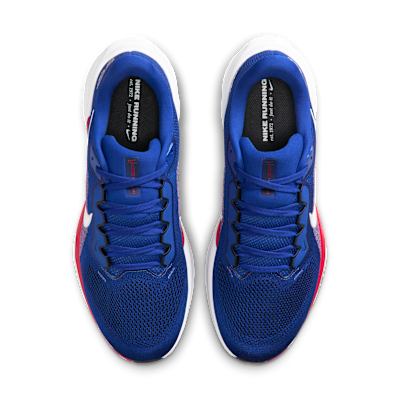 Buffalo Bills Pegasus 41