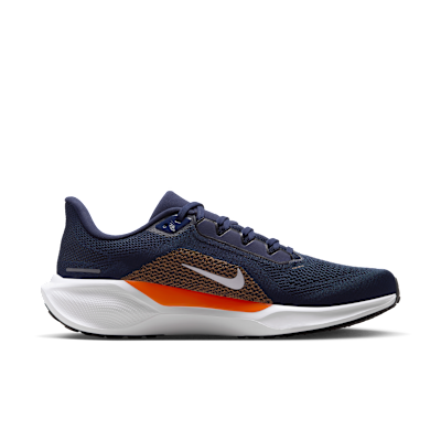 Denver Broncos Pegasus 41