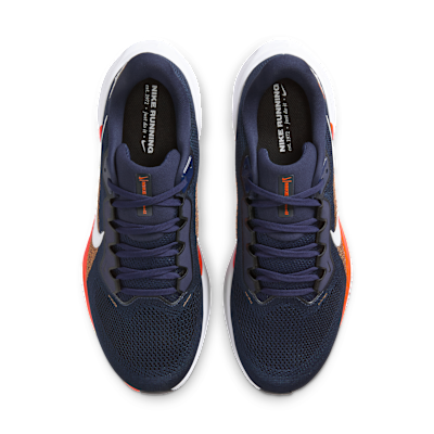 Denver Broncos Pegasus 41