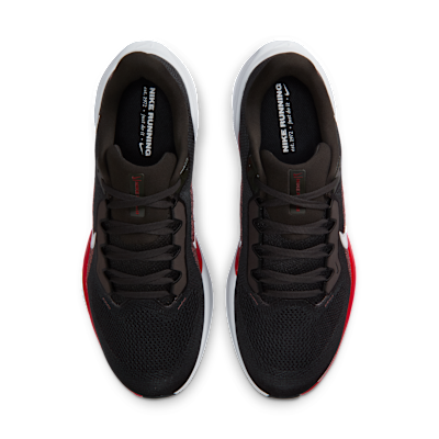 Tampa Bay Buccaneers Pegasus 41