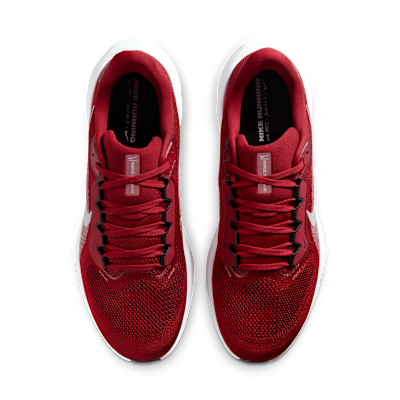 Arizona Cardinals Pegasus 41