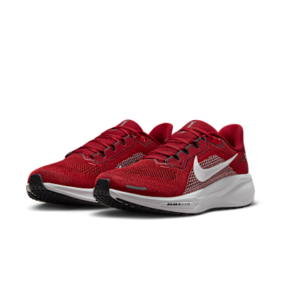 Arizona Cardinals Pegasus 41