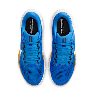 Los Angeles Chargers Pegasus 41