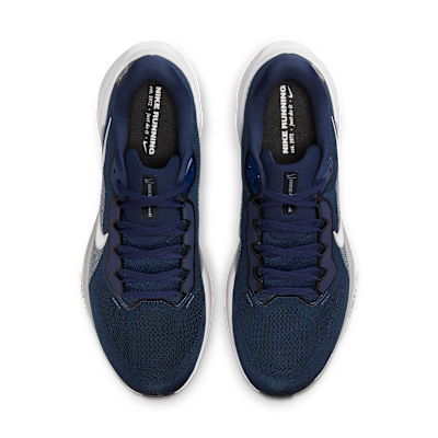 Dallas Cowboys Pegasus 41