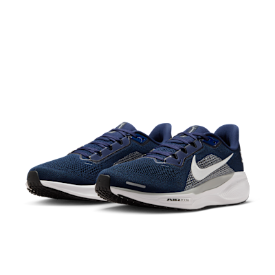 Dallas Cowboys Pegasus 41