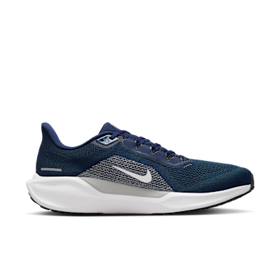 Dallas Cowboys Pegasus 41