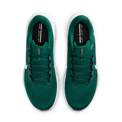 Philadelphia Eagles Pegasus 41