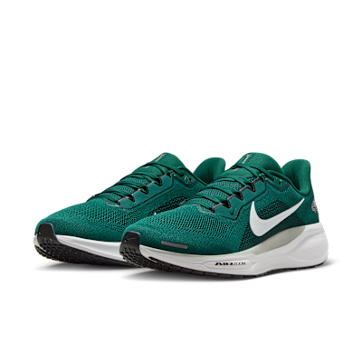Philadelphia Eagles Pegasus 41