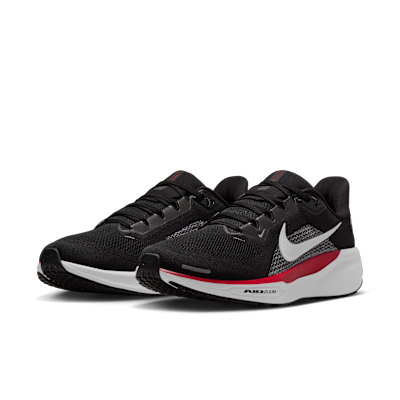 Atlanta Falcons Pegasus 41