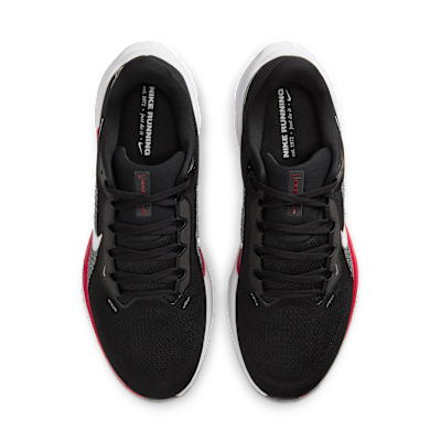 Atlanta Falcons Pegasus 41