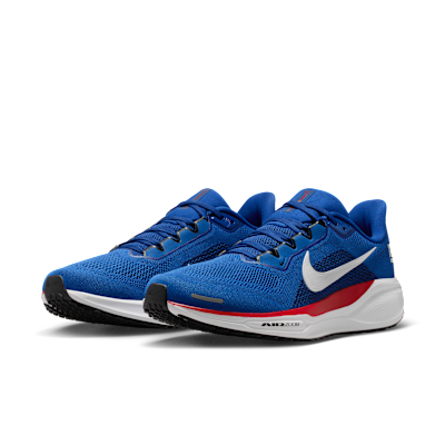 New York Giants Pegasus 41