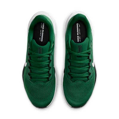 New York Jets Pegasus 41