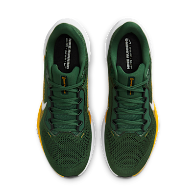 Green Bay Packers Pegasus 41