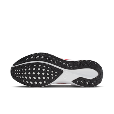 New England Patriots Pegasus 41