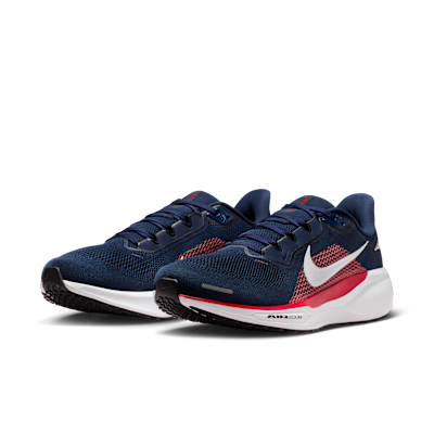 New England Patriots Pegasus 41