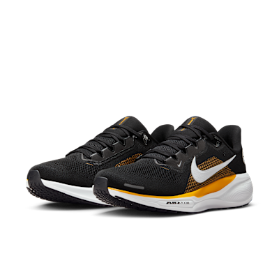 Pittsburgh Steelers Pegasus 41