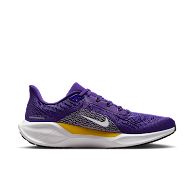 Minnesota Vikings Pegasus 41