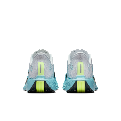 Nike Pegasus Plus
